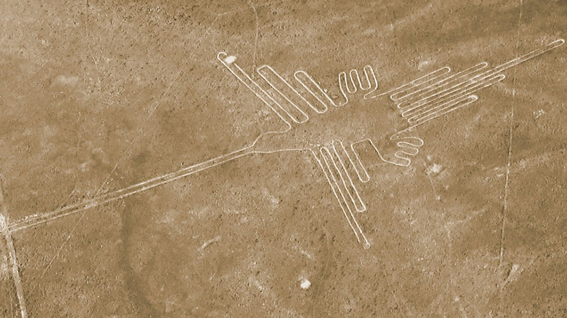 Hummingbird geoglyph best way to see nazca lines hummingbird
