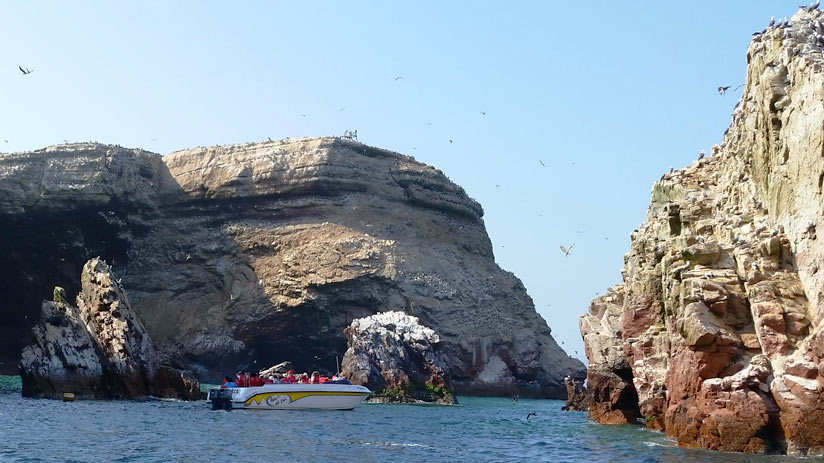 paracas reserve peru tour