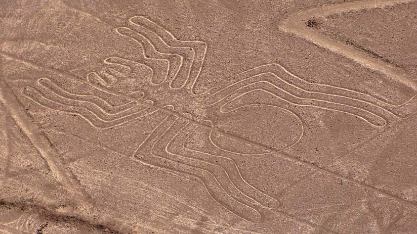 spider nazca lines peru