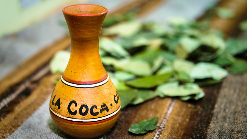 cusco coca tea for altitude sickness