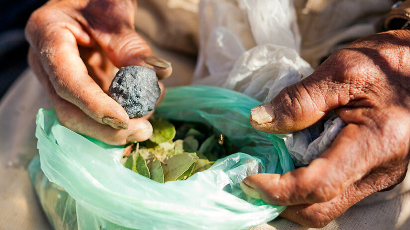 traditional forms of consumption of coca leaf