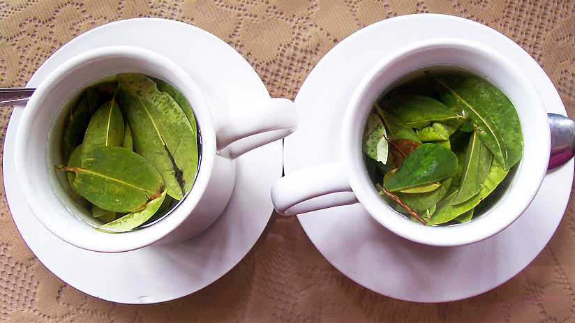 coca tea what to drink in peru