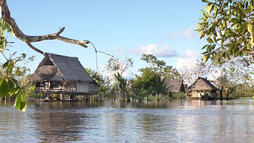 amazon jungle among the tourist attractions in peru