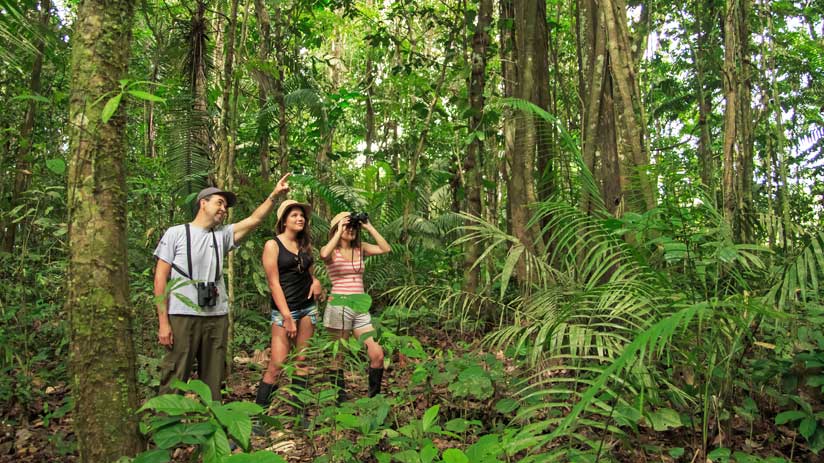 bird watching in amazon in peru