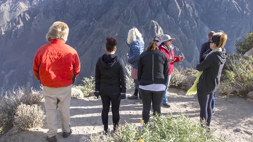 colca canyon guided tour