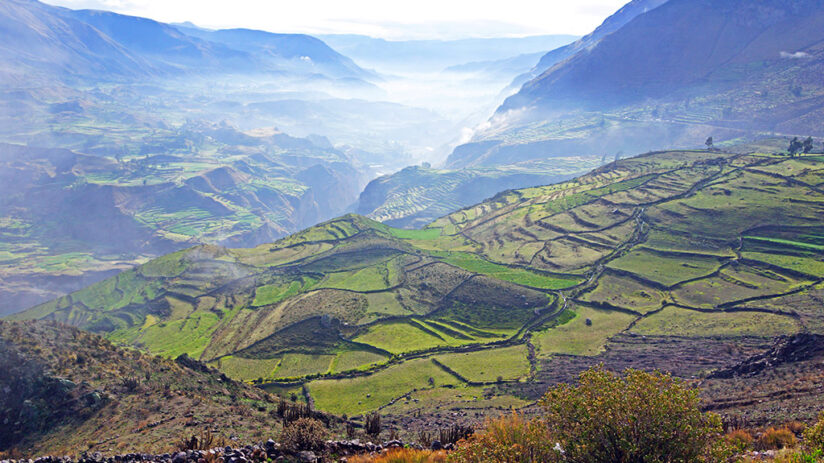 colca canyon cultura history