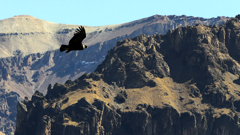 peru itinerary arequipa colca canyon