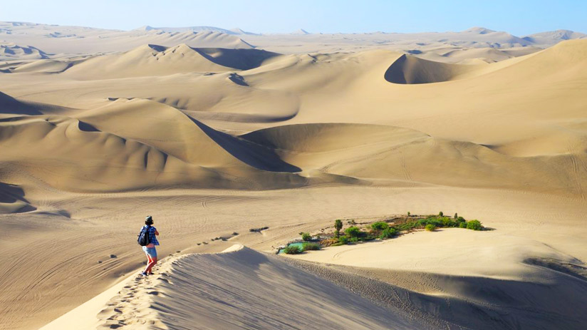 sandboarding in paracas what to do in paracas