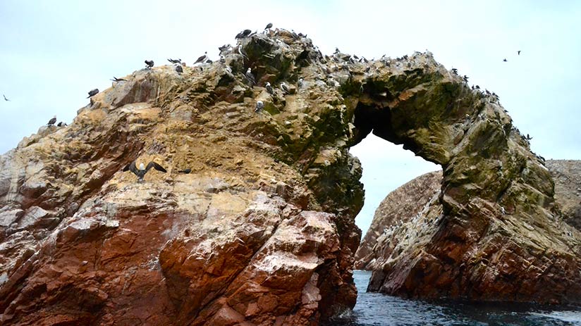 kitesurf in paracas national reserve