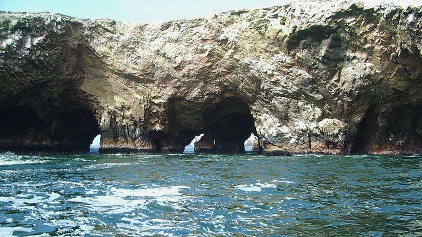 paracas national reserve tour sea