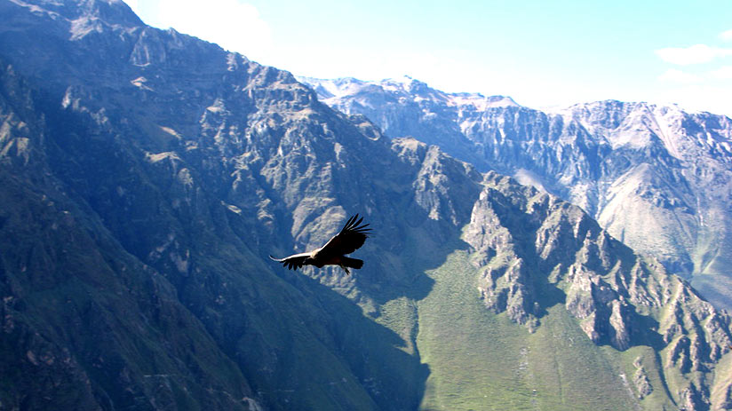 where should i go on vacation colca canyon