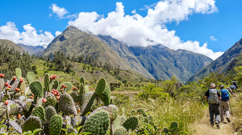 trekking to machu picchu inca trail