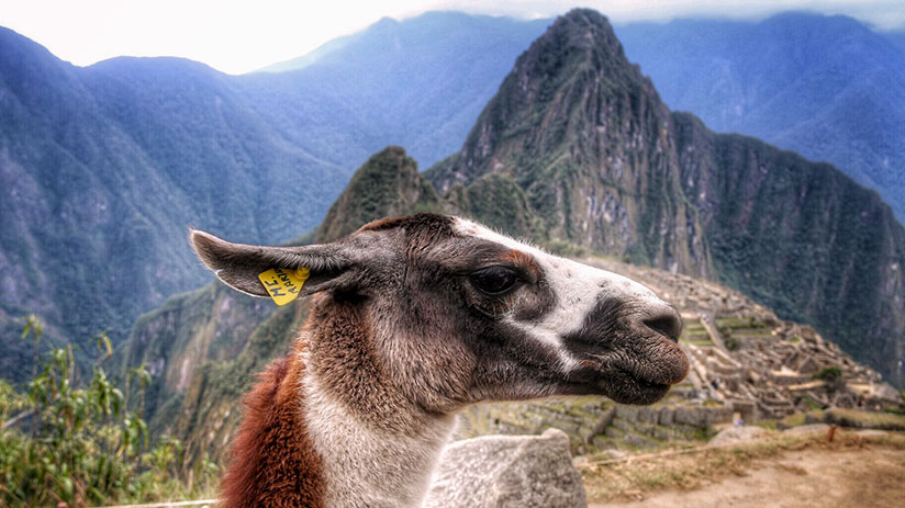 cultural benefits of traveling deeper understanding