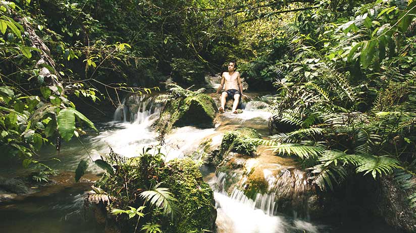 jungle tour cusco