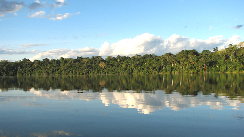 cusco jungle tour lake sandoval