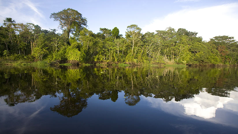 ecotourism in peru pacaya samiria national reserve