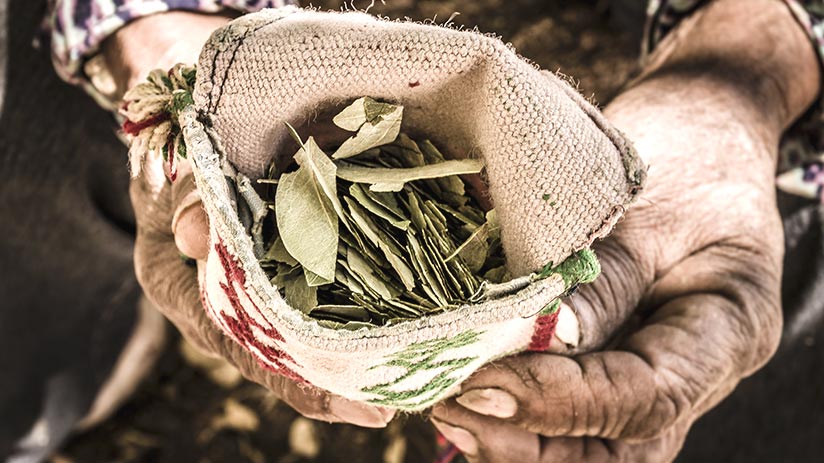 things to know altitude sickness coca leaves