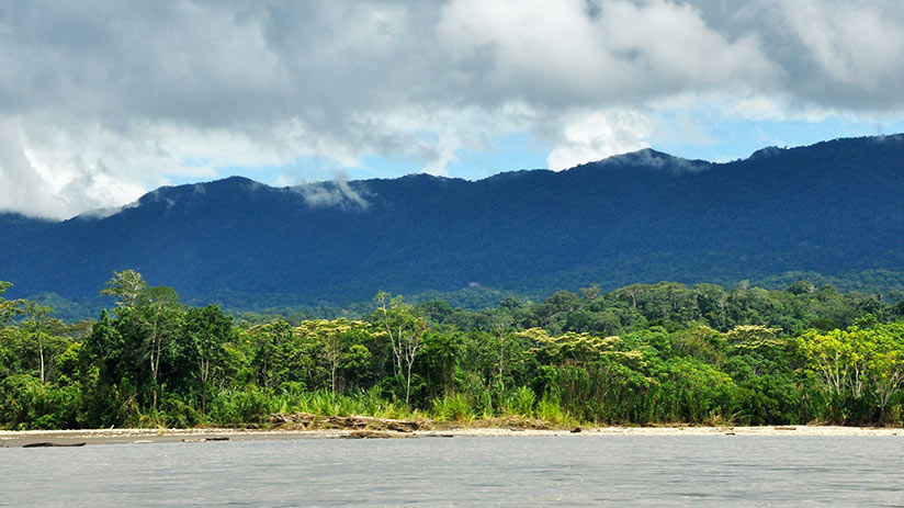 peru itinerary manu national park