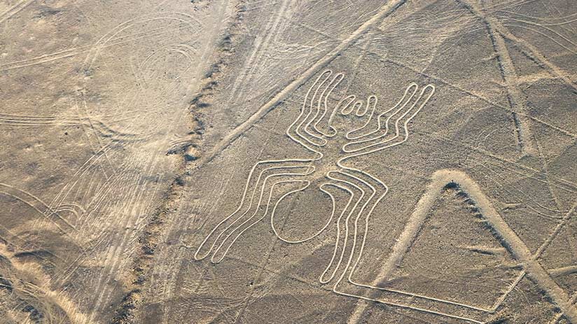 things to do in nazca fly over the lines