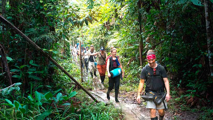 amazon tours from cusco iquitos