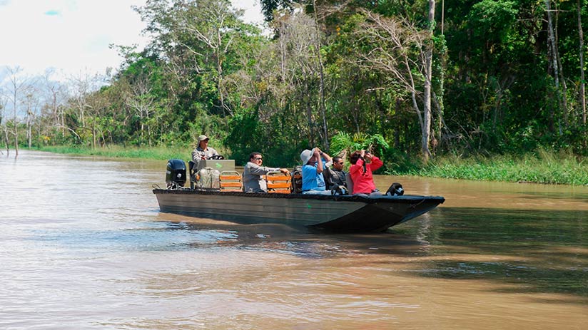 amazon tours from cusco puerto maldonado