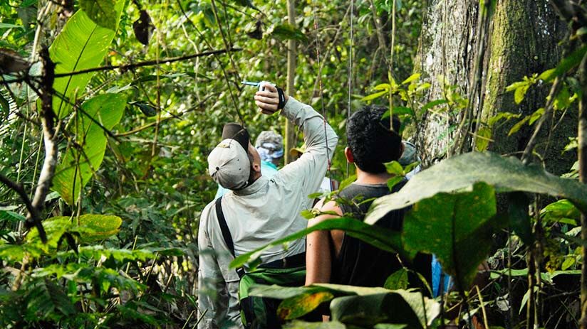 amazon tours from cusco to iquitos