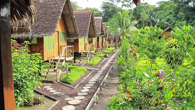 things to do in iquitos stay in a jungle lodge