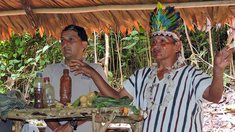 things to do in iquitos ayahuasca