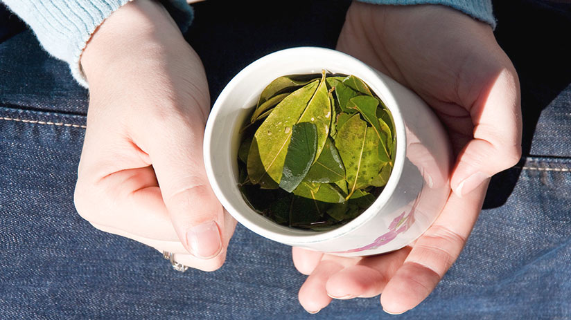 traditional peruvian non alcoholic drinks coca tea