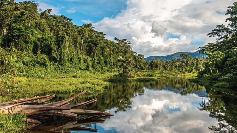Manu National Park in the Amazon jungle in Peru