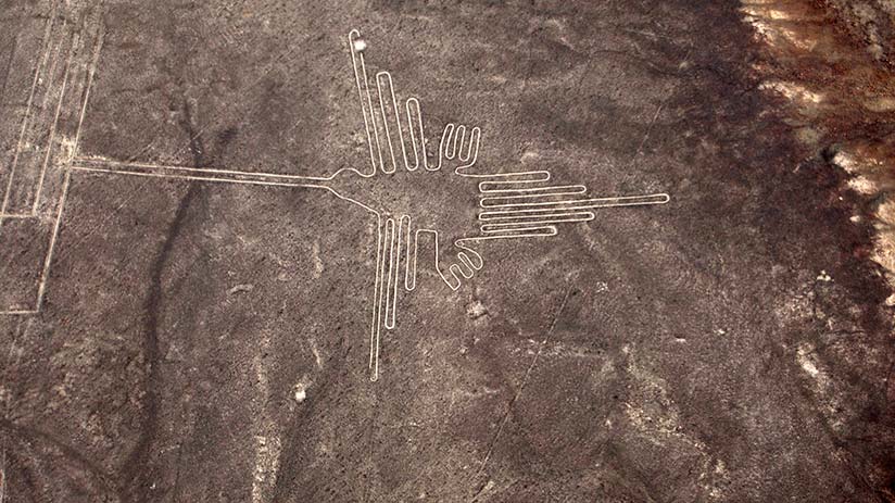 hummingbird in nazca lines