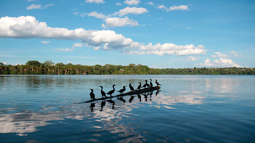 sandoval lake weather