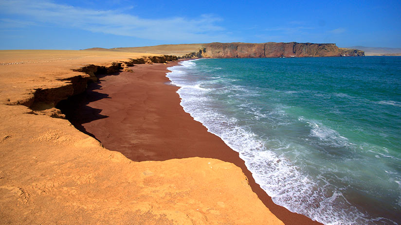 day trips from lima paracas national reserve