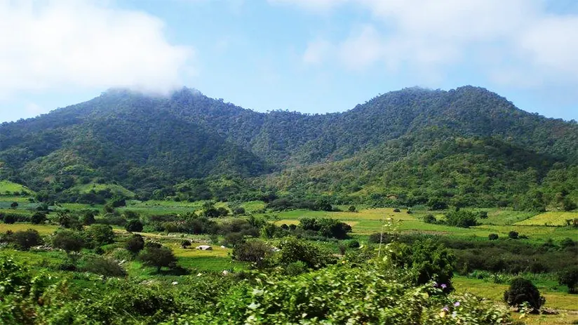 nature reserves in cerros de amotape