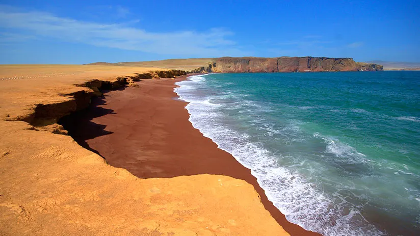 nature reserves in peru paracas national reserve