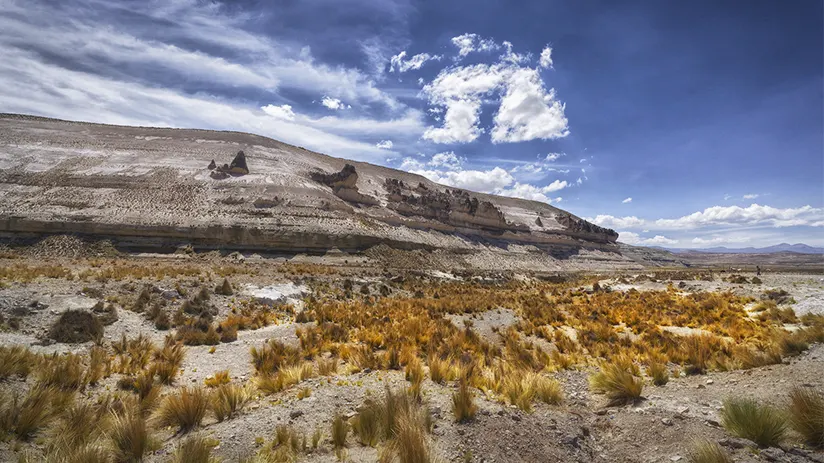 nature reserves salinas and aguada blanca