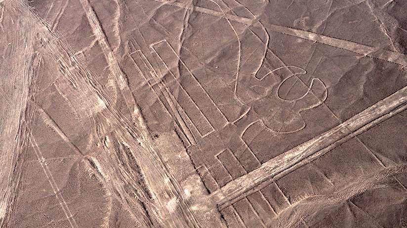 nazca lines images parrot