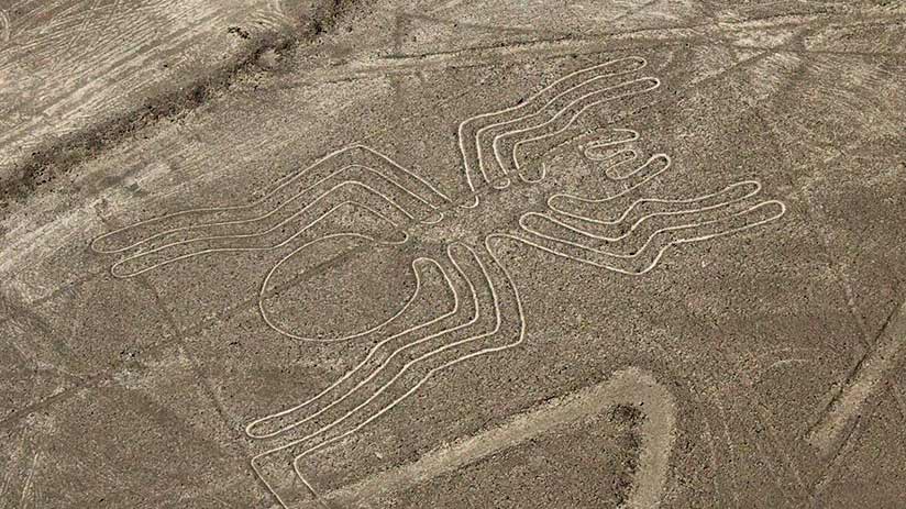 nazca lines images spider