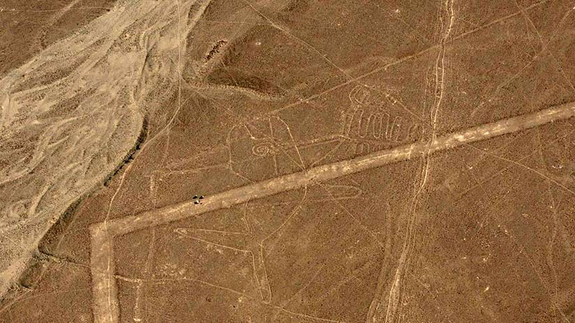 nazca lines images whale