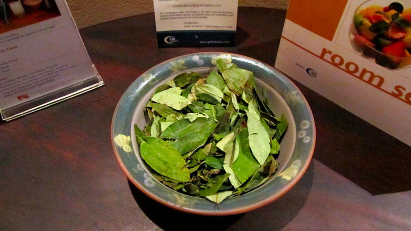 peruvian superfoods coca leaf