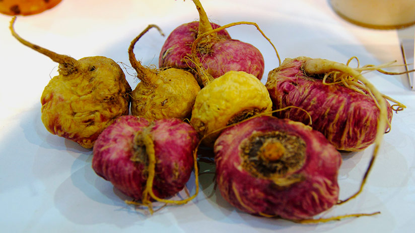 peruvian superfoods maca