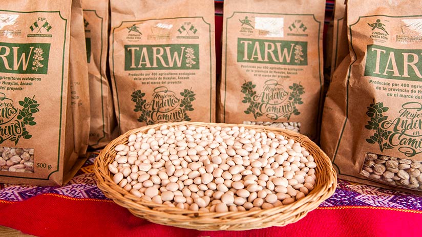 peruvian superfoods tarwi