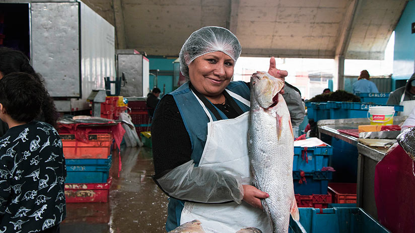 markets in lima fishing terminal