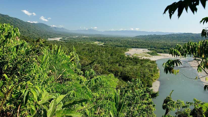 manu national park in amazon