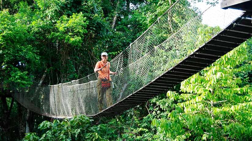 canopy in things to do in iquitos