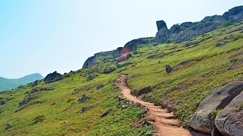 lucumo in hiking in peru