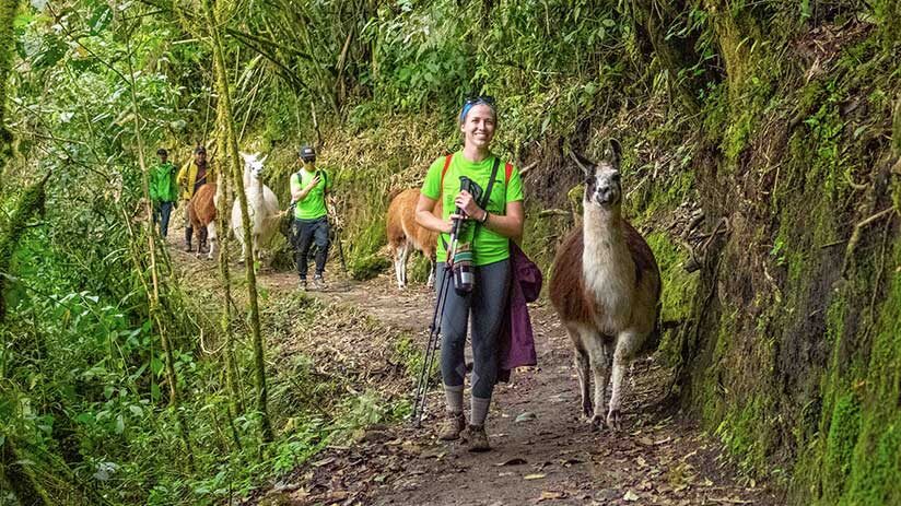 trek from lima to machu picchu