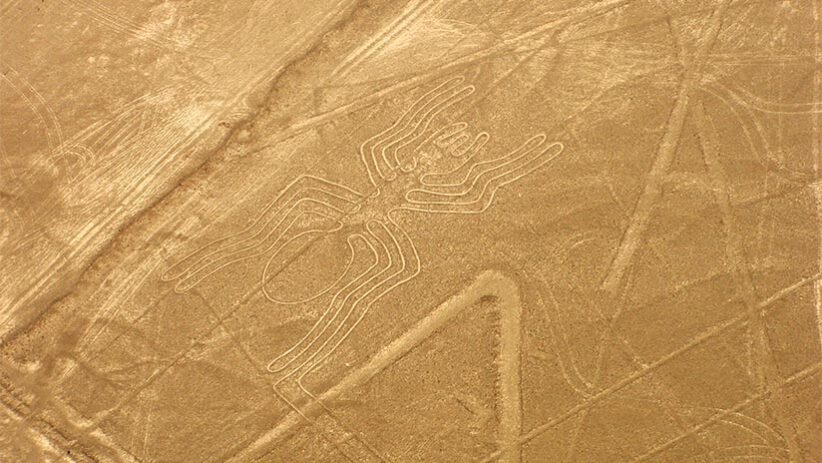 nazca lines theories spider