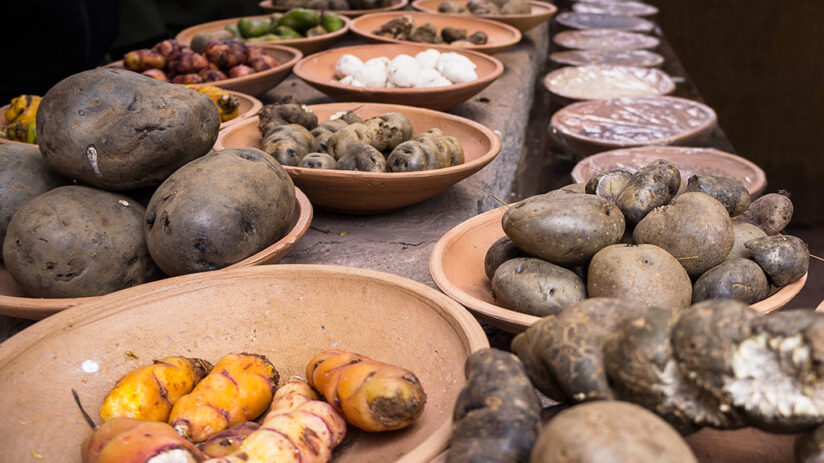 important mentions peruvian potatoes