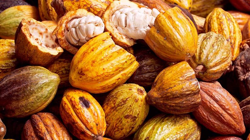 peruvian chocolate types